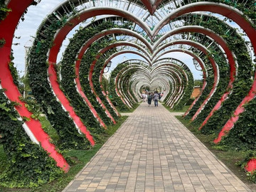 Экскурсия в три города Чечни из Кисловодска